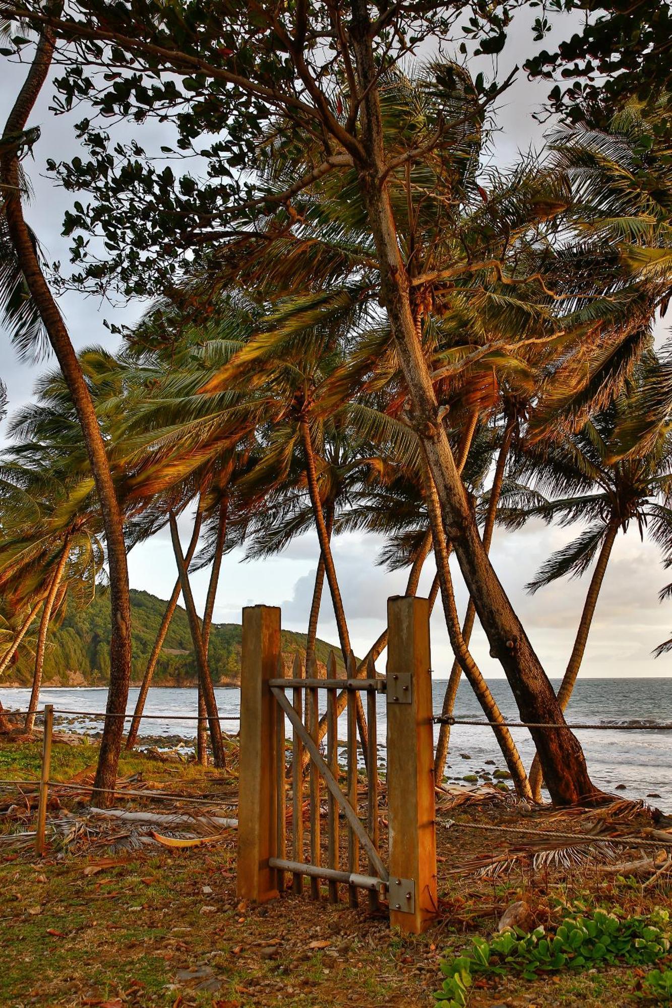 Maison D'O Baie De Saint-Jacques, Sur Une Plage Sauvage Sainte-Marie Exterior foto
