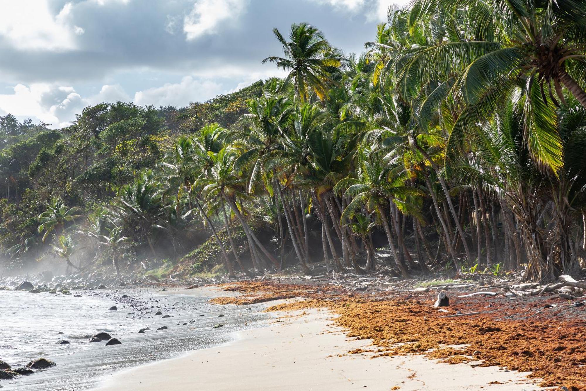 Maison D'O Baie De Saint-Jacques, Sur Une Plage Sauvage Sainte-Marie Exterior foto