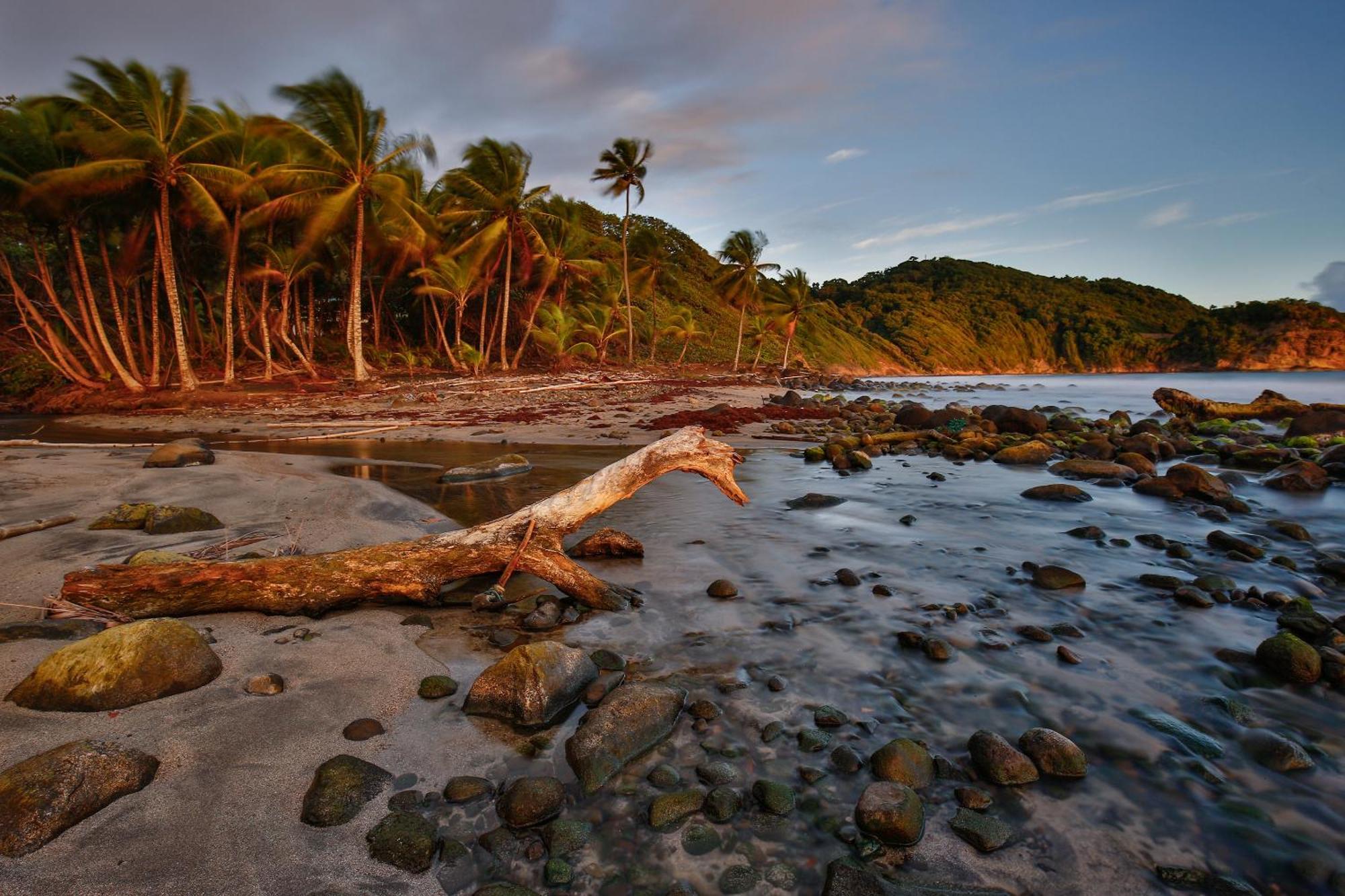 Maison D'O Baie De Saint-Jacques, Sur Une Plage Sauvage Sainte-Marie Exterior foto