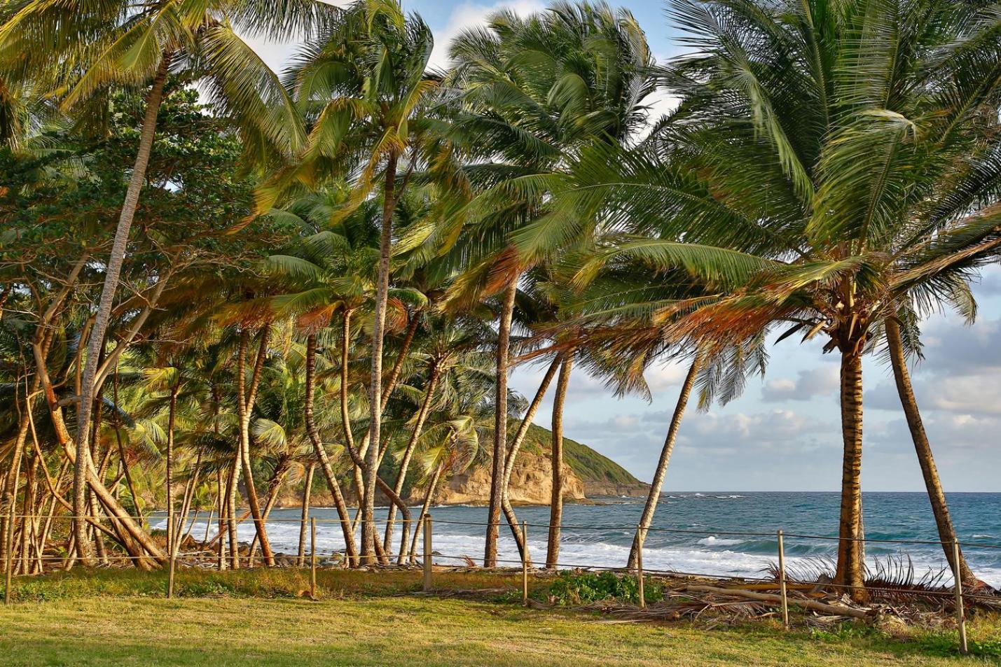 Maison D'O Baie De Saint-Jacques, Sur Une Plage Sauvage Sainte-Marie Exterior foto